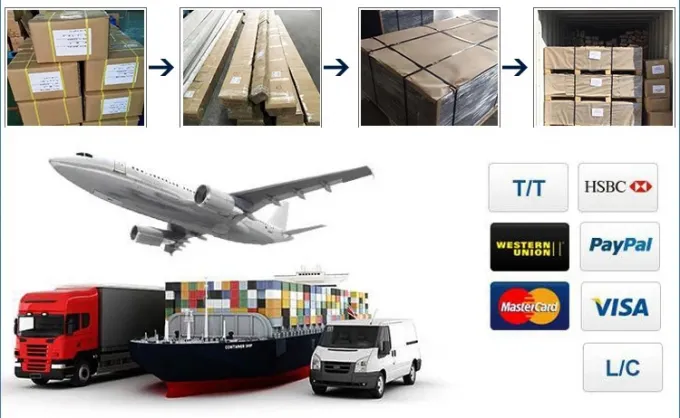 Spezialisierte Labor-Rauchkapuze Labor-Rauchkapuze Anti-statisches Sicherheitssystem 220V/50Hz 11