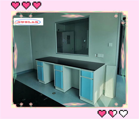 Guter Preis PP-Sink-Laborbankmaterial mit OEM-Server-Typ und Beschichtungshahn Online
