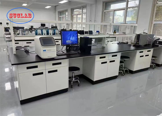 Guter Preis Mehrfunktionale Laborbank Malaysia mit Spritzsicherungssteckdose und PP/Keramik/Epoxidharzwasserbecken Online
