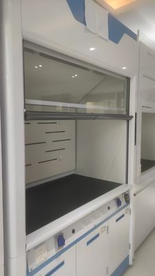 Guter Preis Customizable Automatic Sash Closure System Fume Hood for American Clients Mr.. Khoa Online