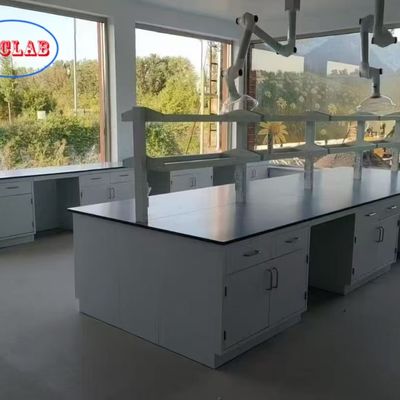 Guter Preis Full Steel Chemical Laboratory Workbench with 175° Buffer Hinge and Trespa Counter Tops Online