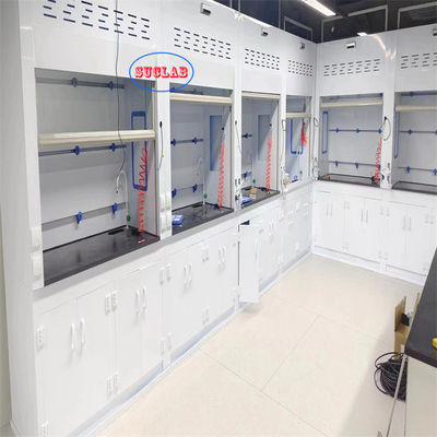 Guter Preis Mikrocomputer-Steuerungssystem Chemische Rauchkappe Labor Rauchschrank Wandmontage Online