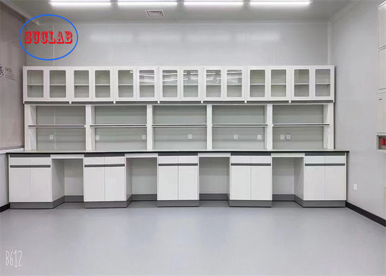 Guter Preis Multifunktionale Chemie Labor Bank Labor Tisch China Hersteller mit Stahl Messing Körper Wasserhahn Online